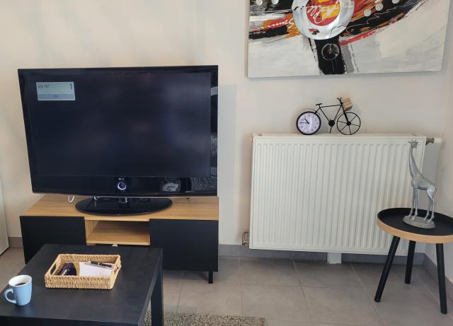 Location appartement T2 Seysses - Photo 10