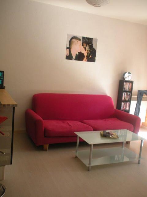 Location appartement T2 Rumilly - Photo 2