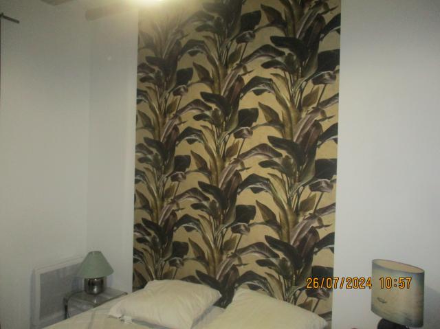 Location appartement T3 Aix les Bains - Photo 4