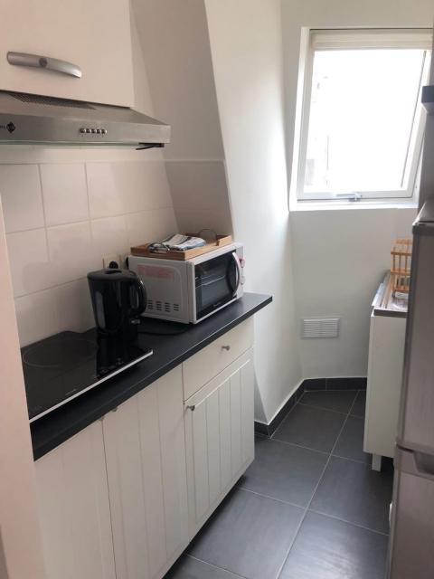 Location appartement T2 Paris 15 - Photo 3