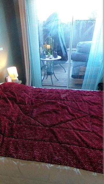 Location appartement T2 Neuilly Plaisance - Photo 5