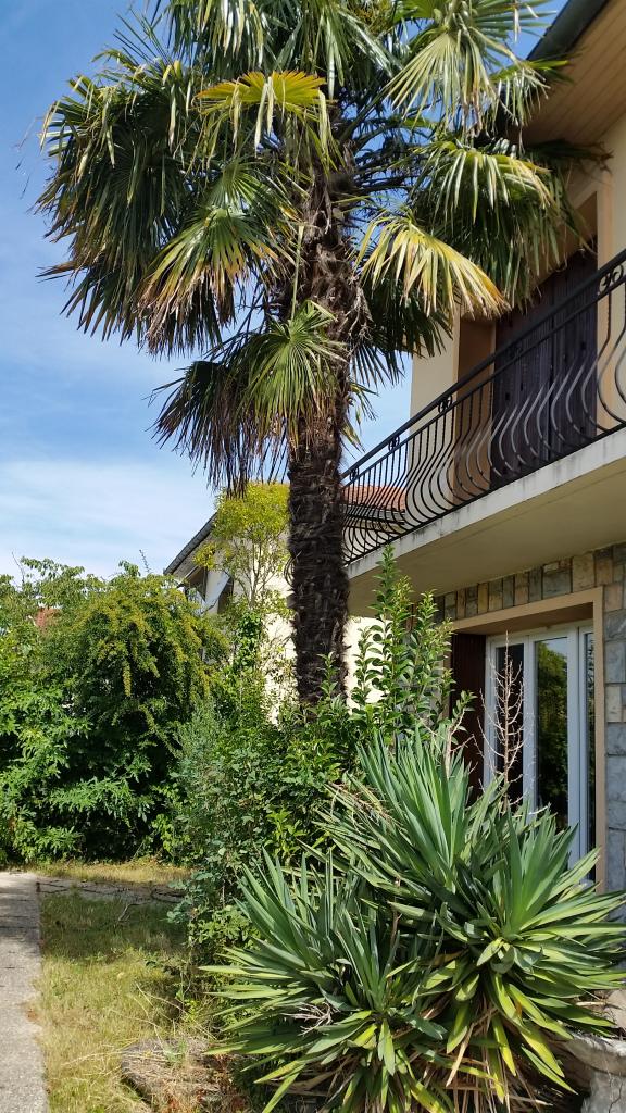 Location chambre Tournefeuille - Photo 1