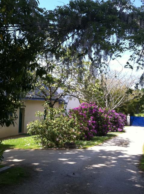 Location chambre Vannes - Photo 2