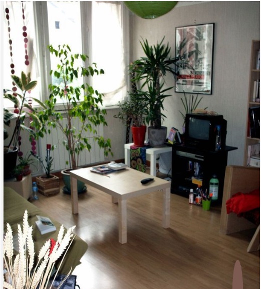Location chambre Grenoble - Photo 1