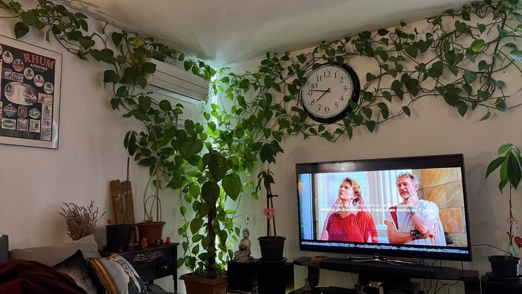 Location chambre Montauban - Photo 1