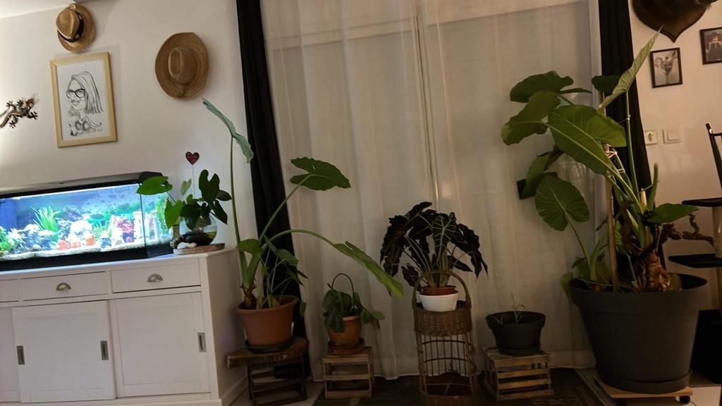 Location chambre Montauban - Photo 4