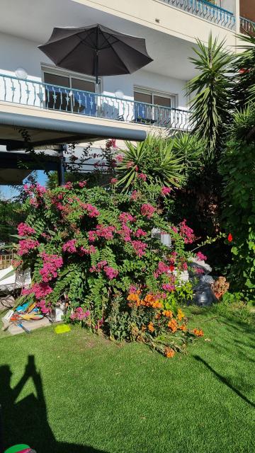 Location chambre Nice - Photo 2