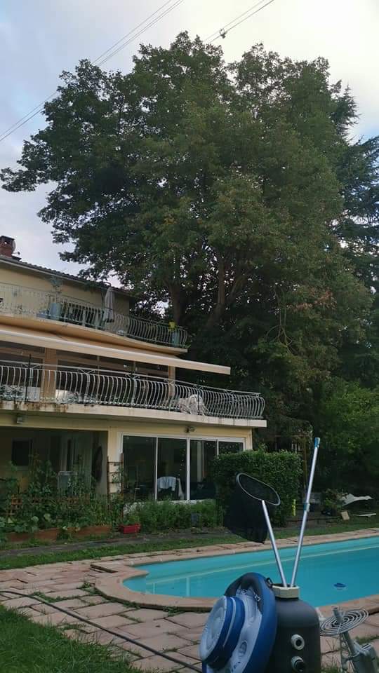 Location chambre Toulouse - Photo 3