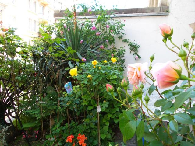 Location chambre Strasbourg - Photo 2