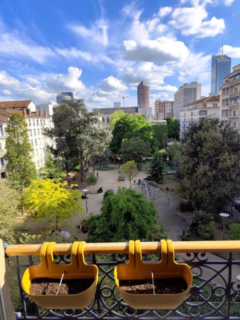 Location appartement T2 Lyon 6 - Photo 8