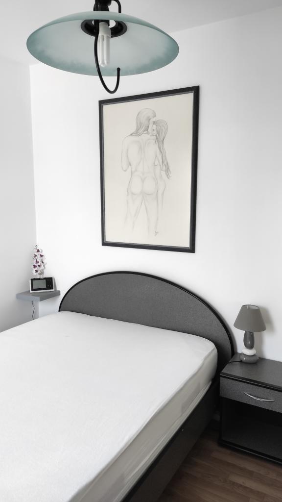 Location chambre Lorient - Photo 4