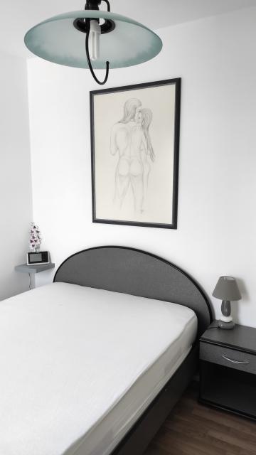 Location chambre Lorient - Photo 4
