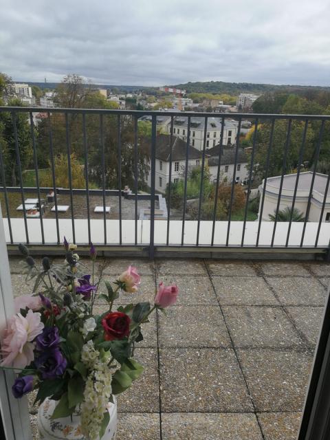 Location appartement T3 Versailles - Photo 10
