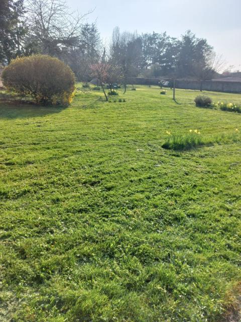 Location appartement T4 Messas - Photo 7