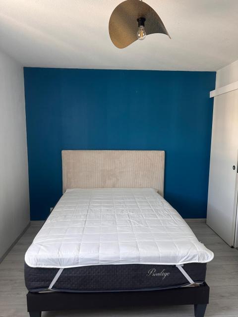 Location appartement T2 Bellignat - Photo 8
