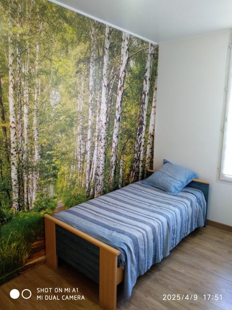 Location appartement T3 Maisons Alfort - Photo 5