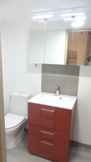 Location appartement T2 Nancy - Photo 3