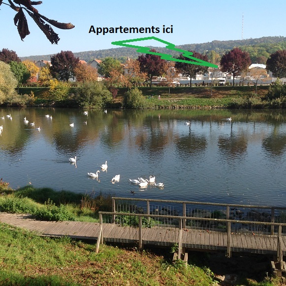 Location appartement T2 Nancy - Photo 9