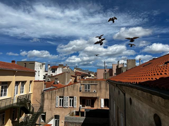 Location appartement T2 Perpignan - Photo 9