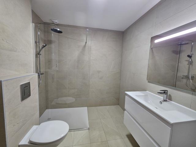 Location appartement T3 Dettwiller - Photo 3