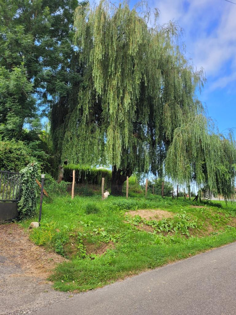 Location chambre Belbeze en Comminges - Photo 1