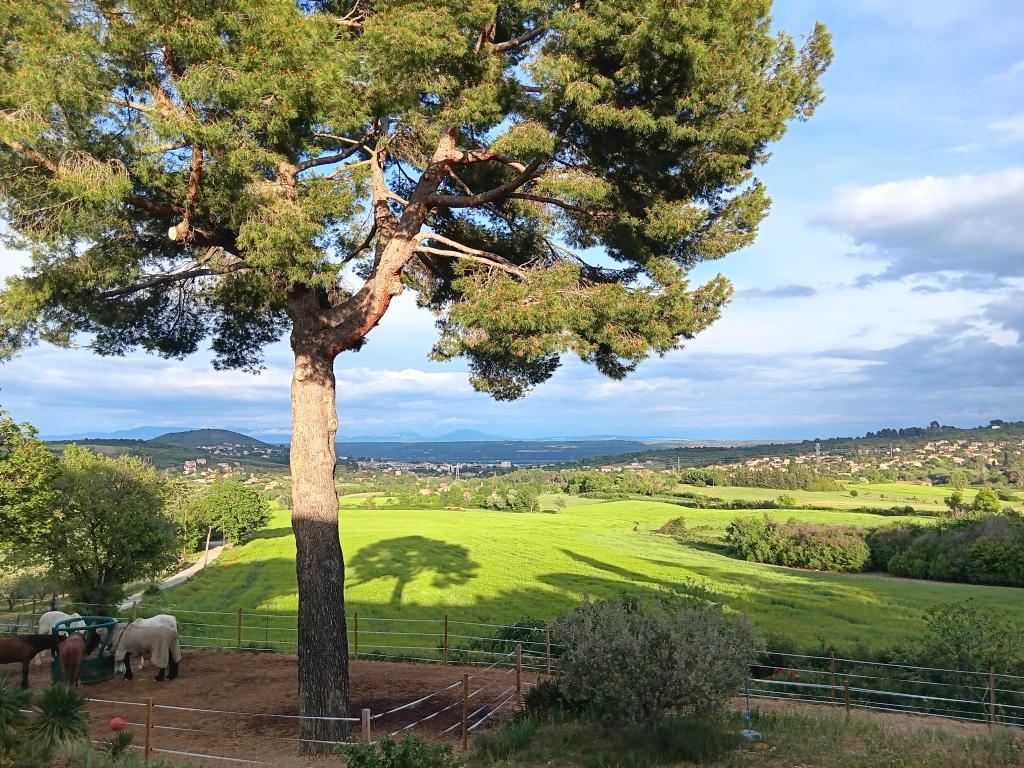 Location chambre Manosque - Photo 3