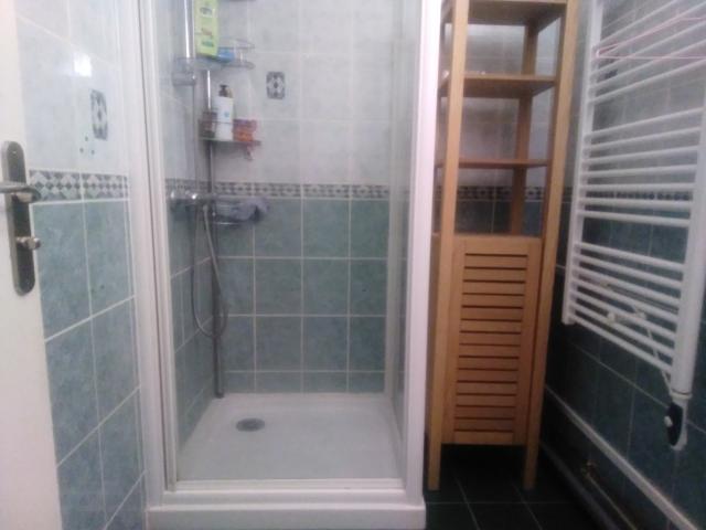 Location appartement T4 Rennes - Photo 3
