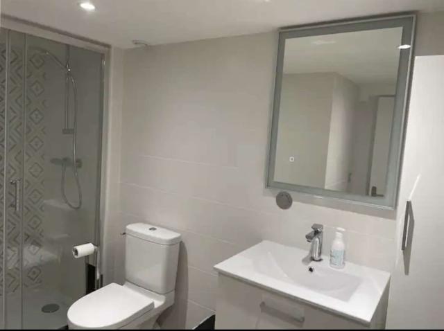 Location appartement T2 Nancy - Photo 4