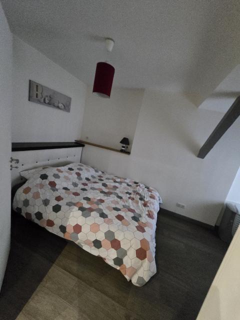 Location appartement T2 St Etienne - Photo 4