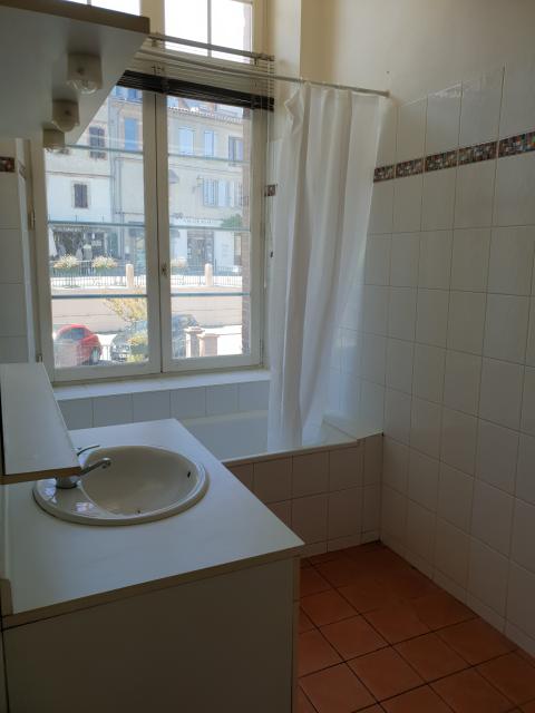Location appartement T3 Verfeil - Photo 4