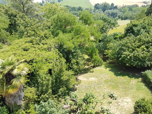 Location appartement T3 Verfeil - Photo 8