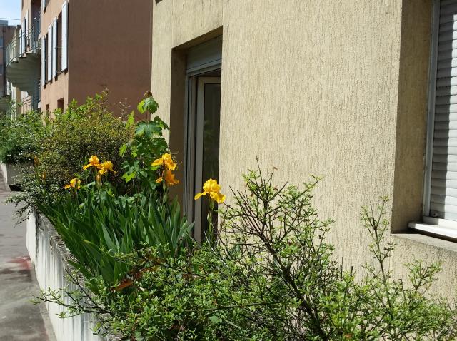 Location appartement T4 Bourgoin Jallieu - Photo 10