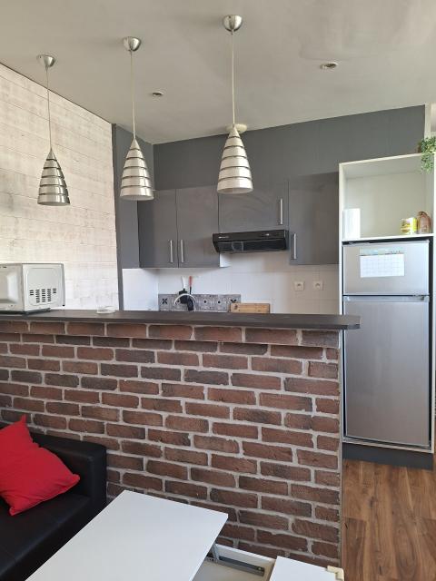 Location appartement T2 Nancy - Photo 3