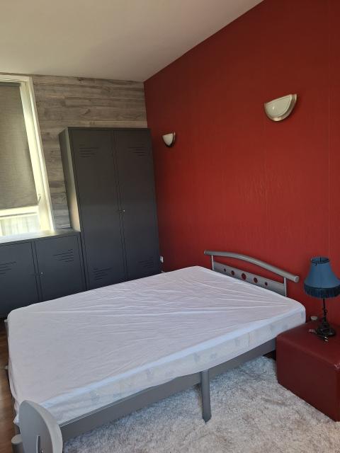 Location appartement T2 Nancy - Photo 9