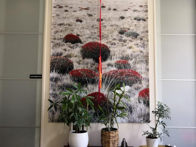 Location appartement T2 Paris 20 - Photo 4