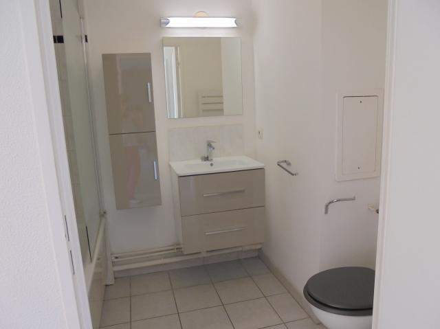 Location appartement T2 Dammarie les Lys - Photo 6