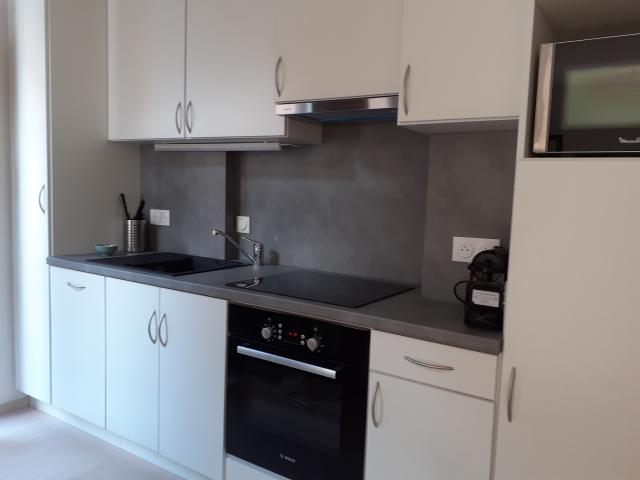 Location appartement T2 Strasbourg - Photo 2