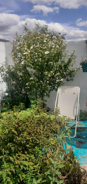 Location chambre Sotteville les Rouen - Photo 3