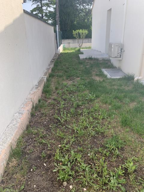 Location maison F4 Entraigues sur la Sorgue - Photo 6