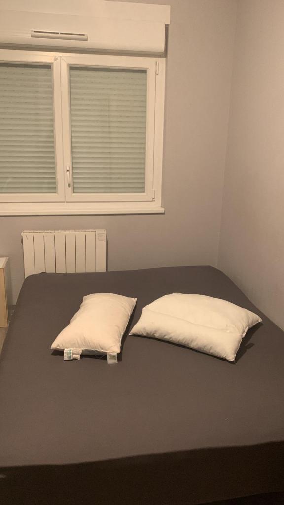 Location chambre Illkirch Graffenstaden - Photo 4