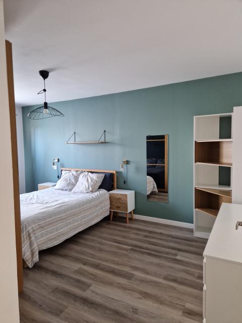 Location appartement T3 Strasbourg - Photo 8