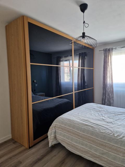 Location appartement T3 Strasbourg - Photo 9