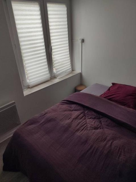 Location appartement T2 Nancy - Photo 6