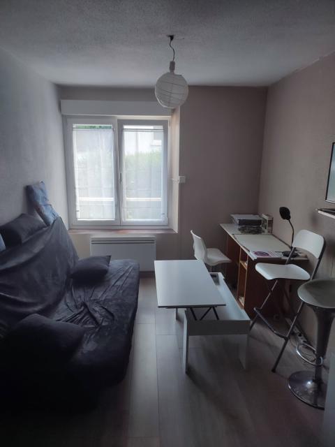 Location appartement T2 Nancy - Photo 9