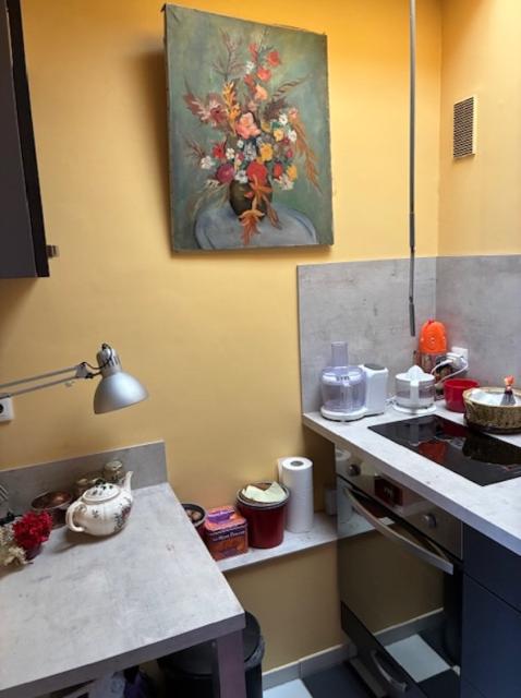 Location appartement T2 Strasbourg - Photo 9