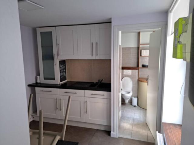 Location appartement T3 Lille - Photo 3