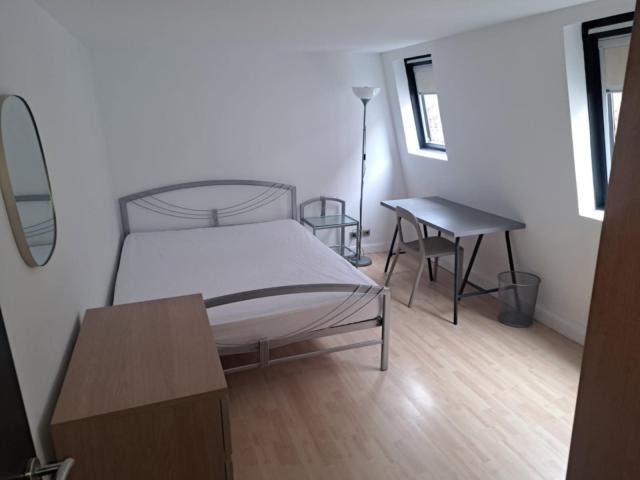Location appartement T3 Lille - Photo 5