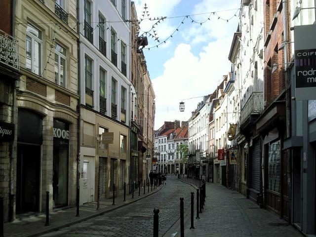 Location appartement T3 Lille - Photo 8