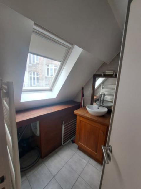 Location appartement T2 Lille - Photo 7