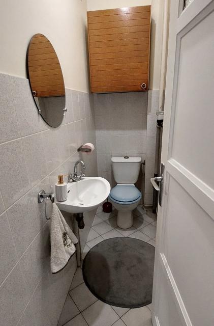 Location appartement T3 Lyon 8 - Photo 5